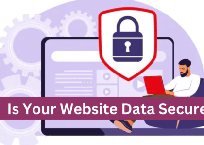 website data security