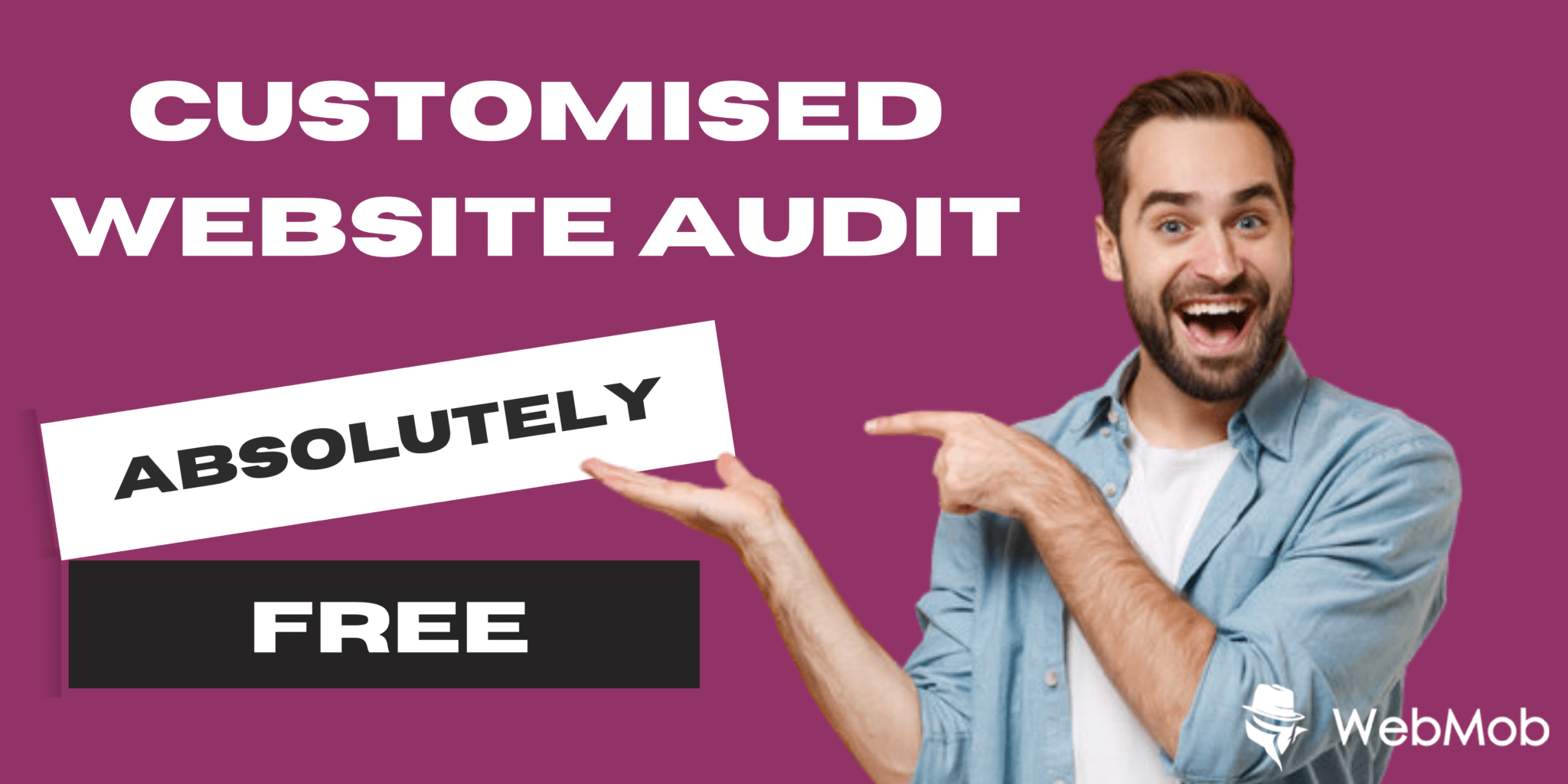 website audit